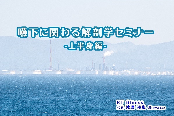 嚥下に関わる解剖学講座